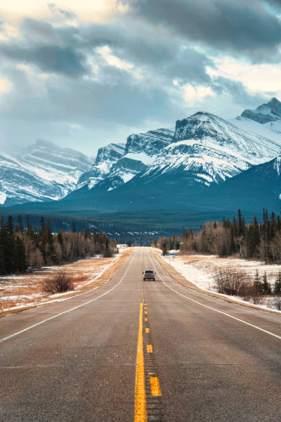 istock Road trip on highway between pine forest driving straight to rocky mountains in Icefields Parkway 1470883589