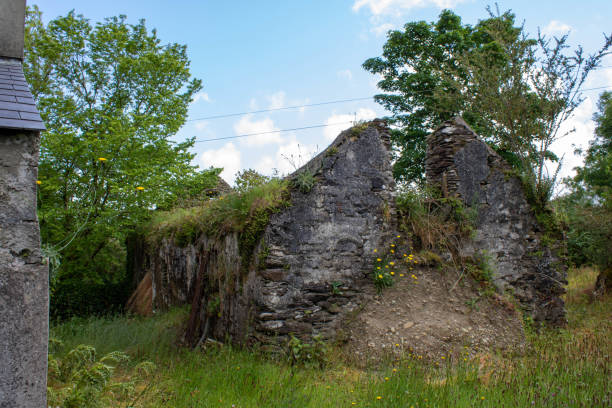 istock Abandoned old Stone house deep within the countryside West Ireland 1470885029