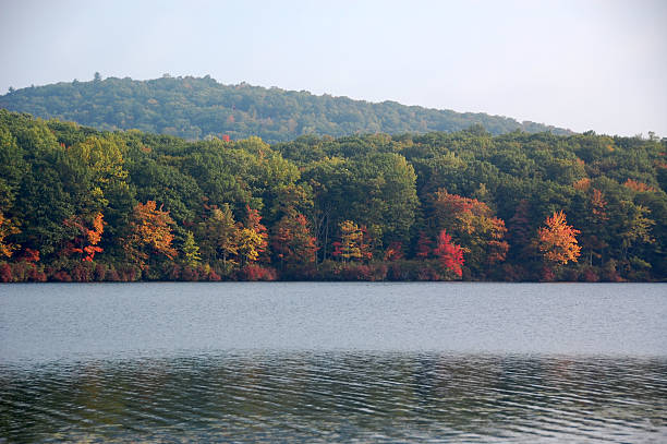 fall foliage on lake stock photo