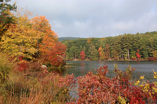 lake in autumn stock photo
