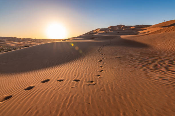 istock Footprints in sand dunes of Abu Dhabi desert at sunset. 1470888736