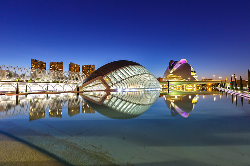 Valencia, Spain - February 17, 2022: Ciutat de les Arts i les Ciencies modern architecture by Santiago Calatrava at night in Valencia, Spain.