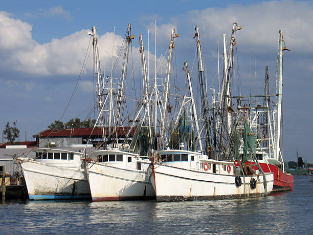 istock Fishing boats 147088942
