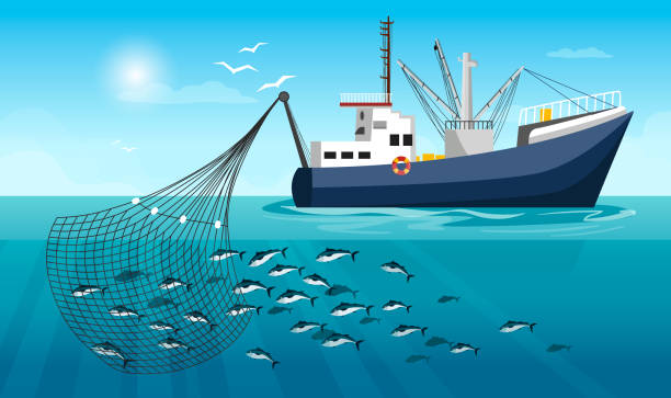 1,800+ Boat Fishing Net Stock Illustrations, Royalty-Free Vector