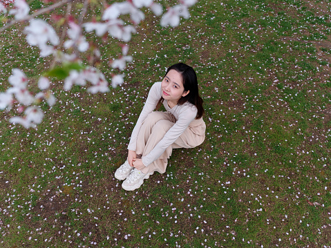Outdoor portrait of beautiful young Chinese girl sitting on meadows with blossom white cherry flowers background in spring garden, beauty, summer, emotion, lifestyle, expression and people concept.