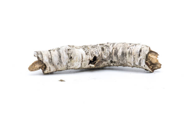 istock piece of wood 1470895891