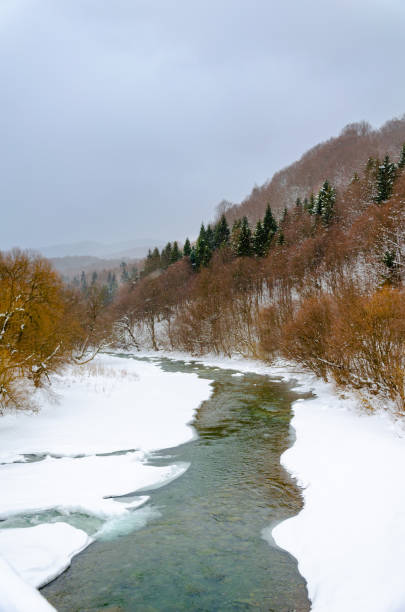 istock Winter mountain landscape, frozen river covered with snow flowing between the trees. 1470898480