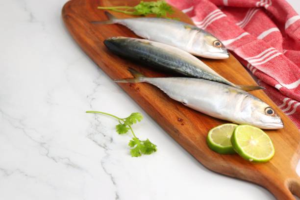 istock Uncooked Indian mackerel fish Rastrelliger kanagurta. also known as Bangda fish. Free copy space. Lemon wedge and coriander. top view fish background. online fish marketing. 1470898606