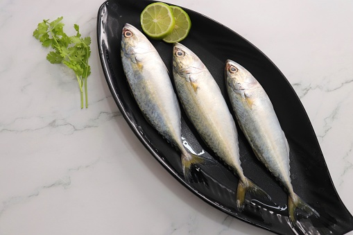 Uncooked Indian mackerel fish Rastrelliger kanagurta. also known as Bangda fish. Free copy space. Lemon wedge and coriander. top view fish background. online fish marketing.