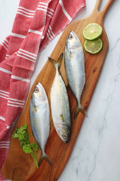 istock Uncooked Indian mackerel fish Rastrelliger kanagurta. also known as Bangda fish. Free copy space. Lemon wedge and coriander. top view fish background. online fish marketing. 1470898674