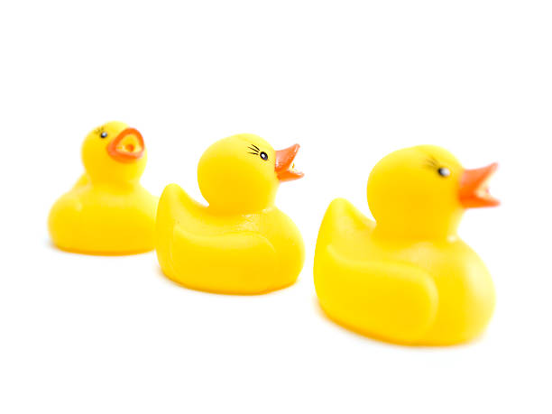 istock Rubber ducky you're the one. 147089908