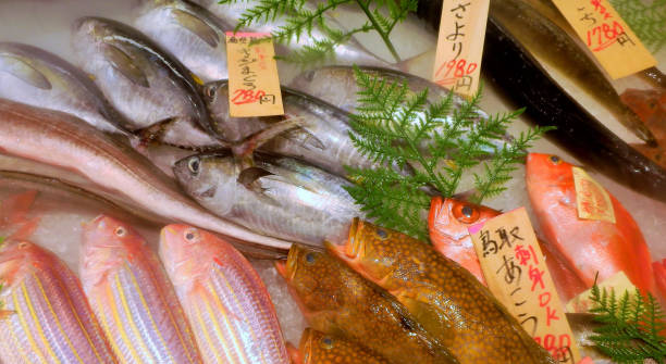 istock fresh fish at the fish market. 1470901721