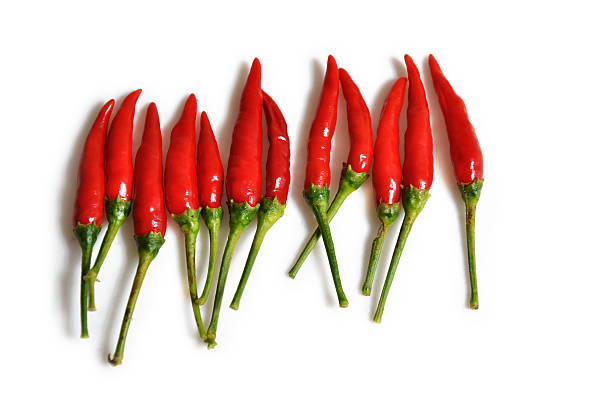 Red hot chilli peppers in a spicy row stock photo