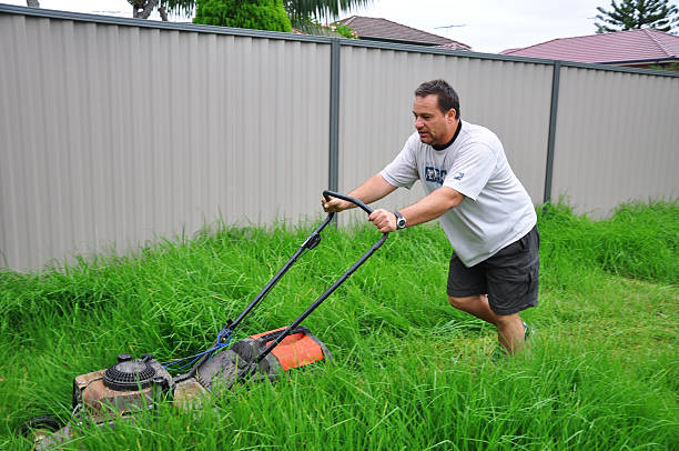 Frustrated Guy mows his Lawn stock photo