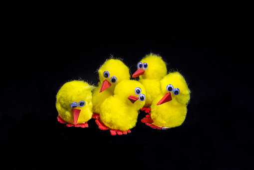 Colorful ducks in a row isolated over white. Rubber ducks in a row on a white background.