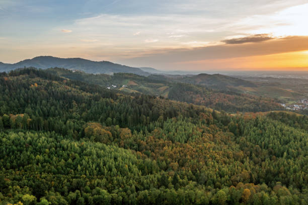검은 숲의 조감도 - 독일 - black forest landscape germany forest 뉴스 사진 이미지