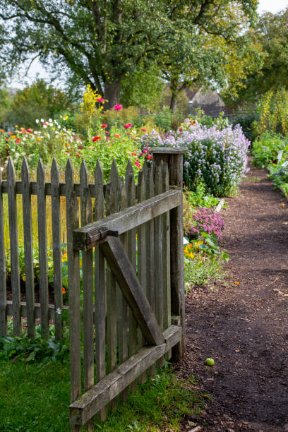 Wooden fence with an open gate and a footpath leading in a cottage garden stock photo