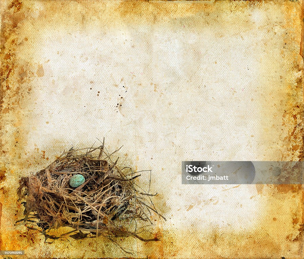 Nido di uccelli su sfondo Grunge - Foto stock royalty-free di Animale