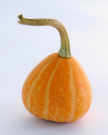 pumpkin isolated on white background. clipping path