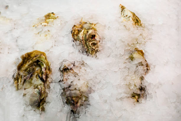 Fresh oysters are stands on ice at Asian street food market stall.
