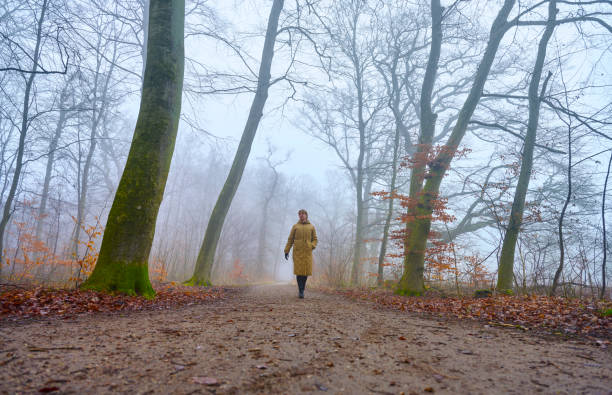 istock Woman walking alone in forest 1470908683