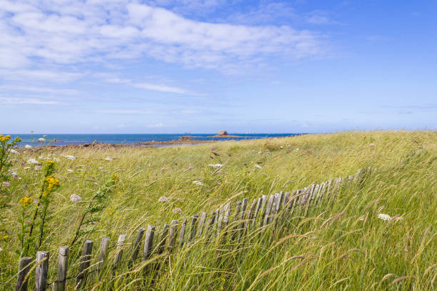 istock Sillon de talbert and wild landscape in french brittany 1470909688