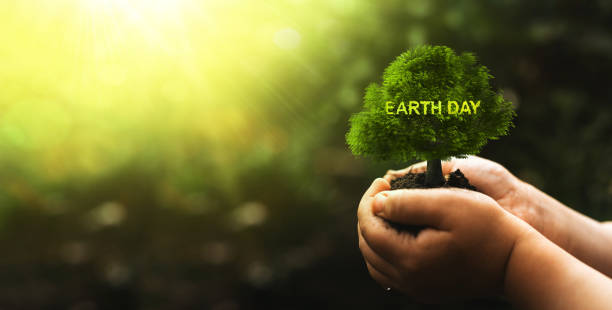 istock Hands of child holding growing tree. Earth day, environment day concept. Keeping environment clean and efficient. 1470909999