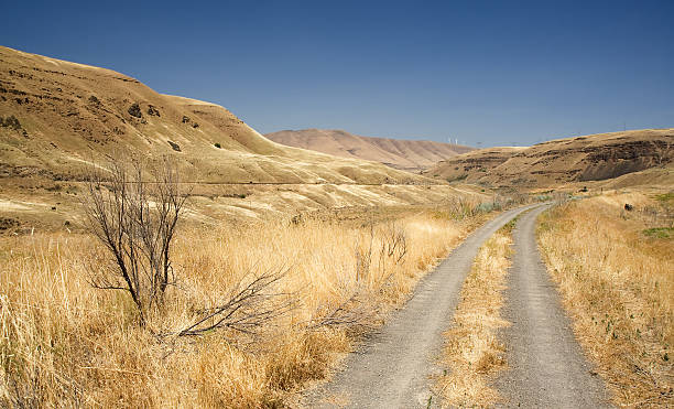 istock Road in the Desert 147091247