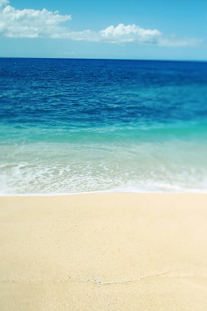 istock Tilt Shift Tropical Hawaiian Sandy Beach Blue Sky Ocean 147091334