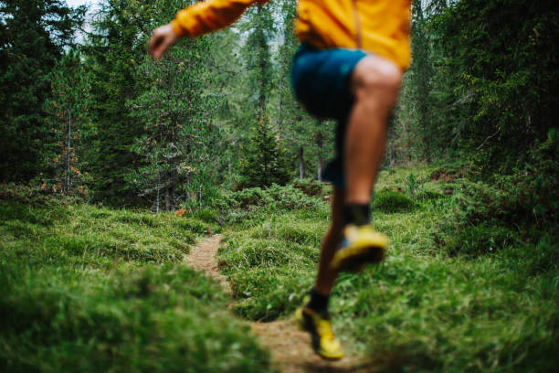 istock Man trail running in a mountain forest 1470913555