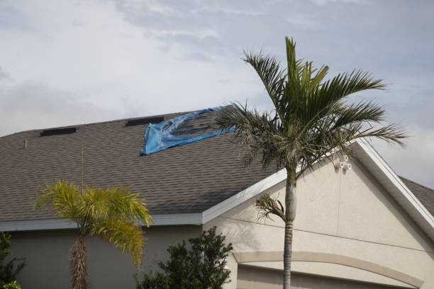 istock Worn out tarp months after a hurricane 1470913801