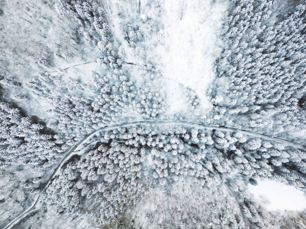 istock Top down view of an empty road trough snowy winter forest 1470914031