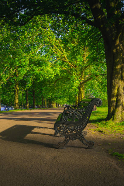park secene in the morning