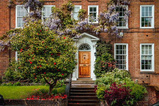 The photo showcases a picturesque street in Notting Hill, Kensington, and Chelsea in London, where rows of charming Georgian houses are covered in a delicate cascade of purple, blue or pink wisteria flowers on trees. Wysteria is a genus of flowering plants in the legume family, Fabaceae (Leguminosae).  The houses themselves are quaint and cozy, with charming brick facades and intricate architectural details that hint at their rich history. The wisteria flowers, which drape themselves over the facades and spill out of windowsills and balconies, add a touch of whimsy and romance to the scene. Their purple petals glow softly in the warm, golden light of the setting sun, casting a dreamy, almost ethereal quality over the street. Despite the grandeur of the wisteria flowers, the street remains intimate and inviting, with a few people casually strolling down the sidewalk or sitting on front stoops, enjoying the beauty of their surroundings. The photo captures the essence of a perfect spring day in Kensington and Chelsea, where the streets are alive with color and the air is filled with the sweet, heady scent of wisteria in bloom.