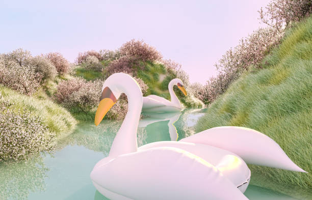 istock Abstract Spring sakura cherry blossom garden scene with floating inflatable swan. 1470918248