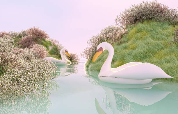 Abstract Spring sakura cherry blossom garden scene with floating inflatable swan. 3d rendering. swan at dawn stock pictures, royalty-free photos & images