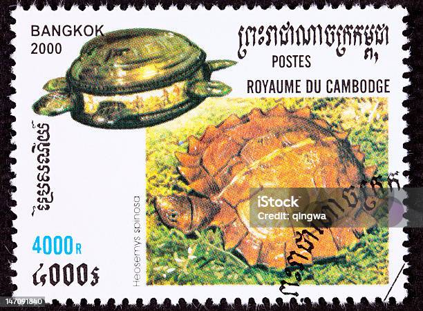 Отменено Камбоджийский Почтовая Марка Короткопёрая Turtle Heosemys Spinosa Латунь Стеклянная Банка — стоковые фотографии и другие картинки Без людей