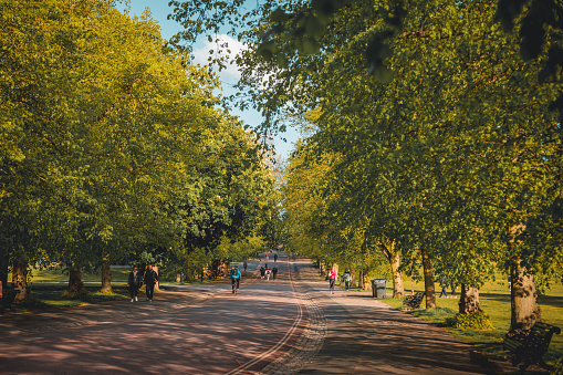 The photo captures the idyllic scene of Greenwich Park on a beautiful spring day in London. The sun is shining brightly, casting a warm glow over the lush green landscape. The sky is a bright blue with a few fluffy white clouds dotted here and there.\n\nIn the foreground, there is a large tree with fresh green leaves, providing shade for a group of people who are sitting on the grass. They appear to be enjoying a picnic, with a basket and blankets spread out around them. A gentle breeze is blowing, making the leaves rustle softly and the grass sway.\n\nIn the middle of the frame, there is a wide path leading up to a hill, which is covered in more trees and bushes. The path is flanked by neatly trimmed hedges, adding to the park's well-manicured appearance. In the distance, there is a grand old building with an iconic dome, which is likely the Royal Observatory.\n\nOverall, the photo captures the serene and picturesque beauty of Greenwich Park on a sunny spring day in London, with people enjoying the peaceful surroundings and taking in the stunning views.