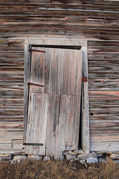 istock Old Wooden Barn Door - washed out colors 147092106