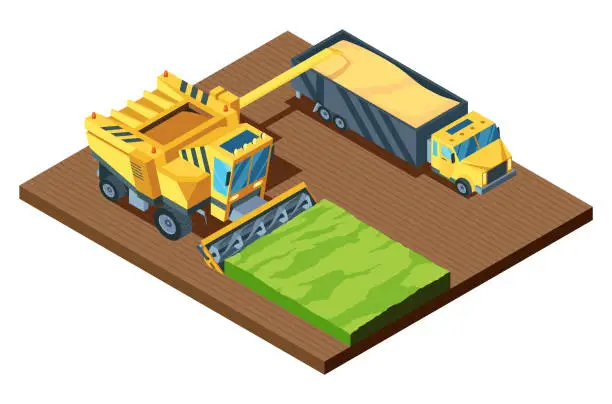 Vector illustration of Isometric combine harvester. Agricultural machine collect wheat on truck in field, concept farm natural farming. Vector cartoon eco eating industry