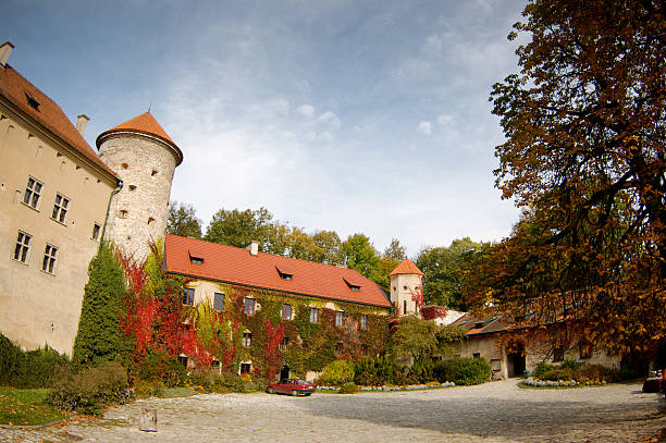 istock Castle courtyard. Ojcowski National Park. 147092463