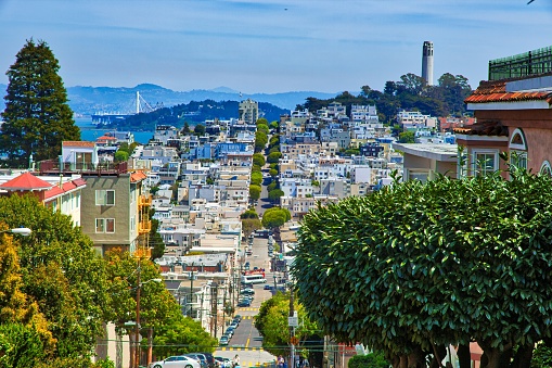 San Francisco city - Telegraph Hill and Coit Tower.