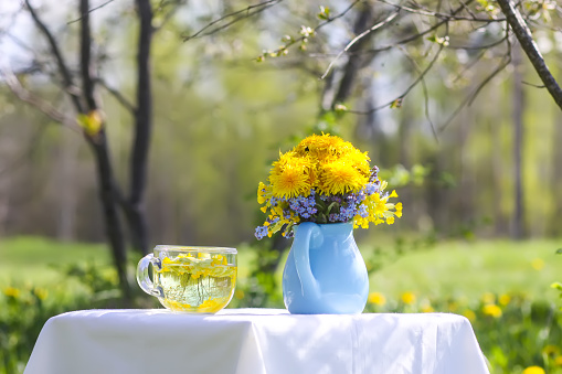 Herbal tea in a glass cup. Dandelion flowers in ceramic jug.