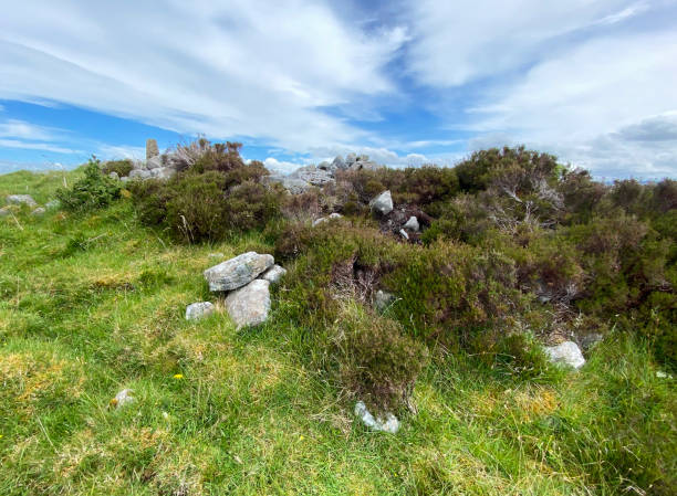 Cavan Images 160+ County Cavan Photos Stock Photos, Pictures & Royalty-Free Images ...