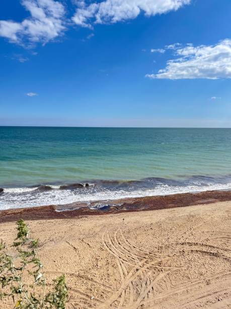 istock Odesa, sea, sand, beach, Sanzheyka, cliff, rock 1470931946