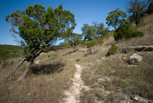 SIngle Track through Texas hill country