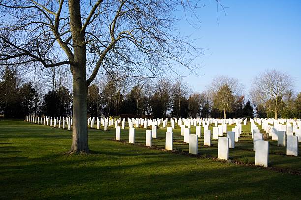 canadian military cemetery (reviers, normandie - san francisco national military cemetery stock-fotos und bilder