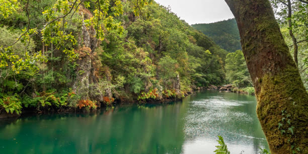 istock Fragas do Eume Natural Park, Pontedeume, Spain 1470936470