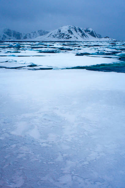 Drift floating Ice and Snowcapped Mountains, Iceberg, Ice Floes, Albert I Land, Arctic, Spitsbergen, Svalbard, Norway, Europe