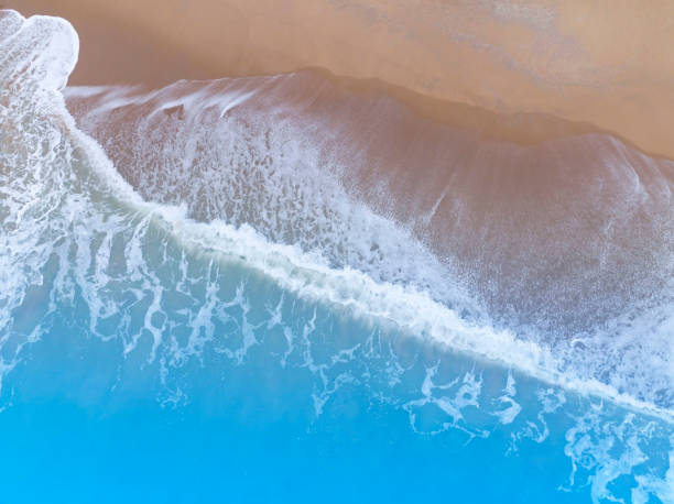 istock The tropical Summer with  Soft blue ocean wave on fine sandy beach  background 1470937066